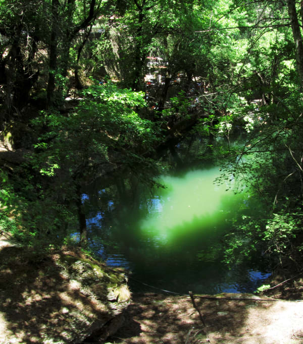 Valley of the Butterflies (Petaloudes, Rhodes)