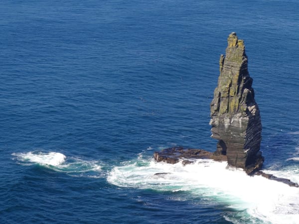 Cliffs of Moher seabird nesting season