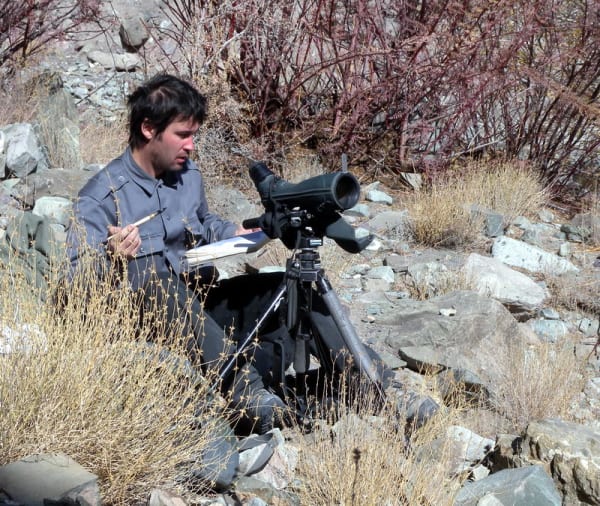Hemis Snow Leopard Winter Tracking