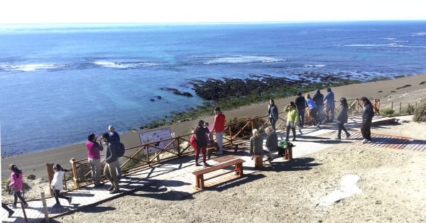 Peninsula Valdes Orca Stranding Hunt