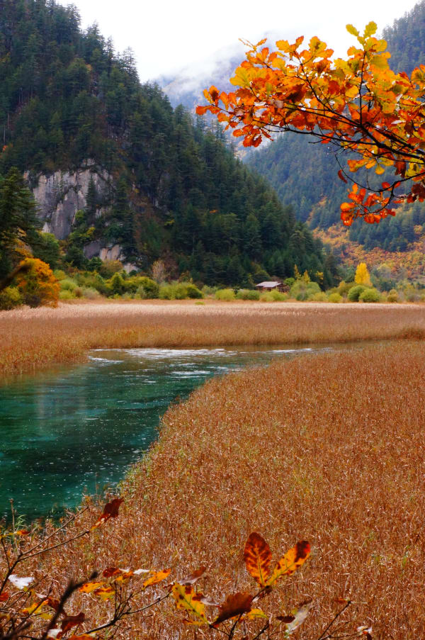 Jiuzhaigou Autumn Color Transformation