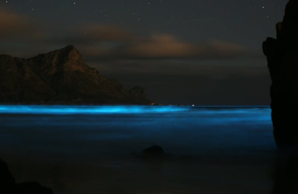 Aoshio (Tokyo Bay Blue Tide)