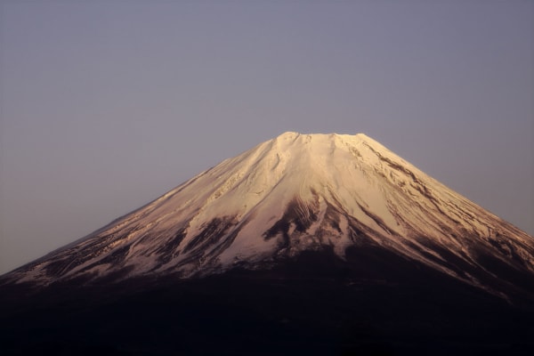 Benifuji (Crimson Fuji)