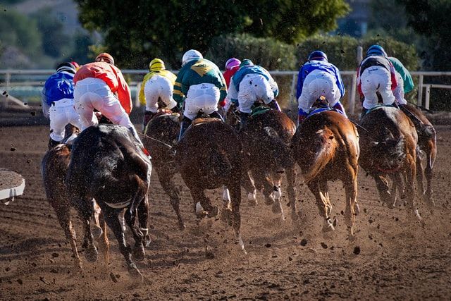 Tips for Winning Horse Racing Bets