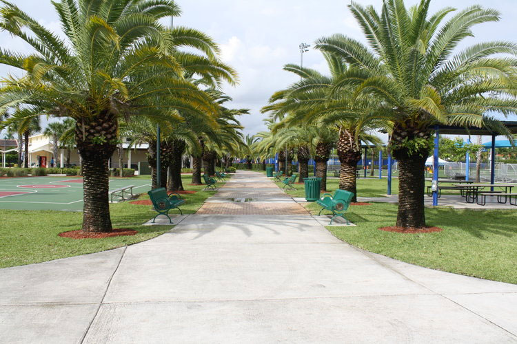 Morgan Levy Park