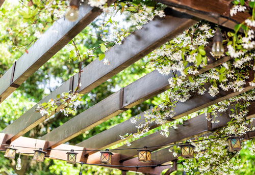 Pergola & Covered Terrace