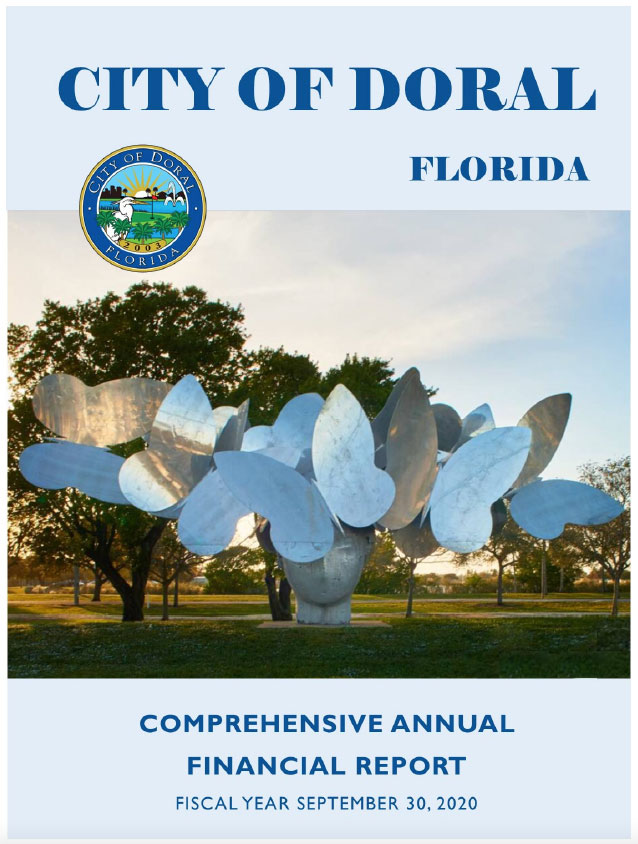 Comprehensive Annual Financial Report 2020