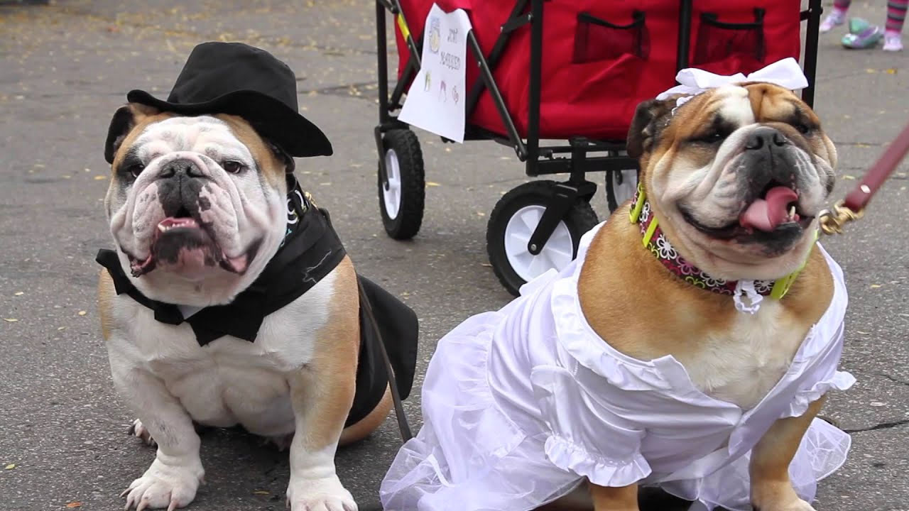 HOWL-O-WEEN