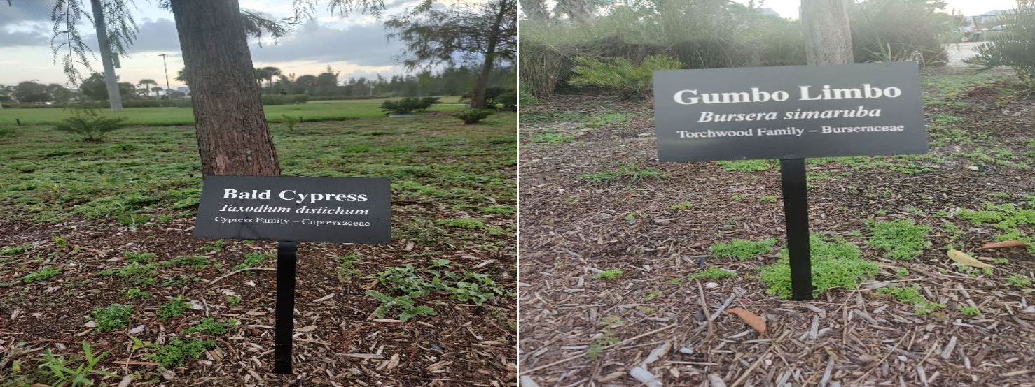 Doral Boy Scout Adds Doral Glades Park Signage