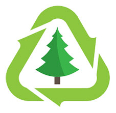 Go green by recycling your Christmas tree in DSWM's program