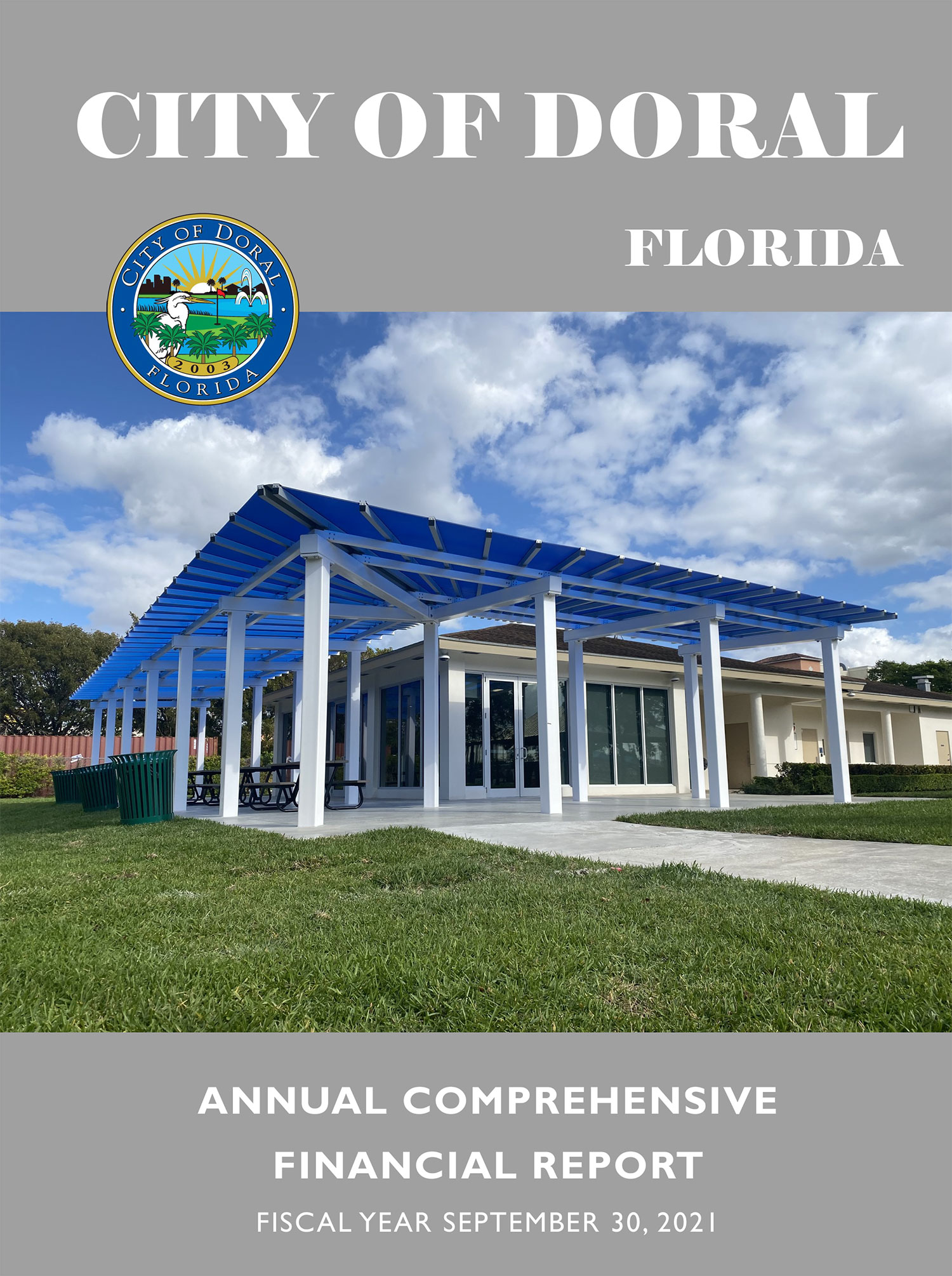 Comprehensive Annual Financial Report 2020