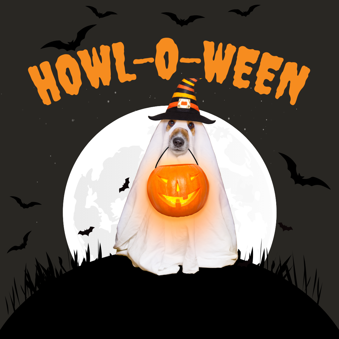 Howl-O-Ween