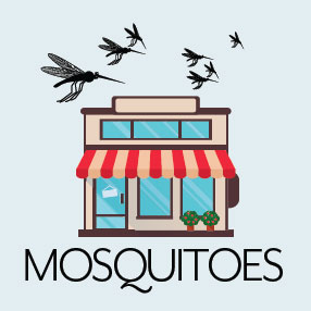 Mosquitoes - Keep Them Outside And Stop Them From Breeding