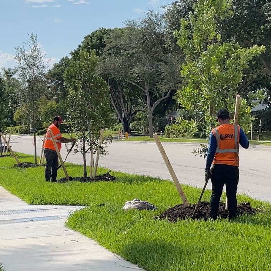 City of Doral is Awarded a 2023 GREEN Street Tree Miami Grant by Neat Streets Miami-Dade County