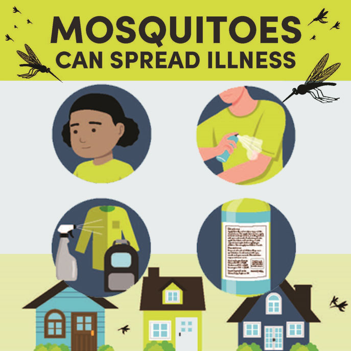 Mosquitoes - Keep Them Outside And Stop Them From Breeding