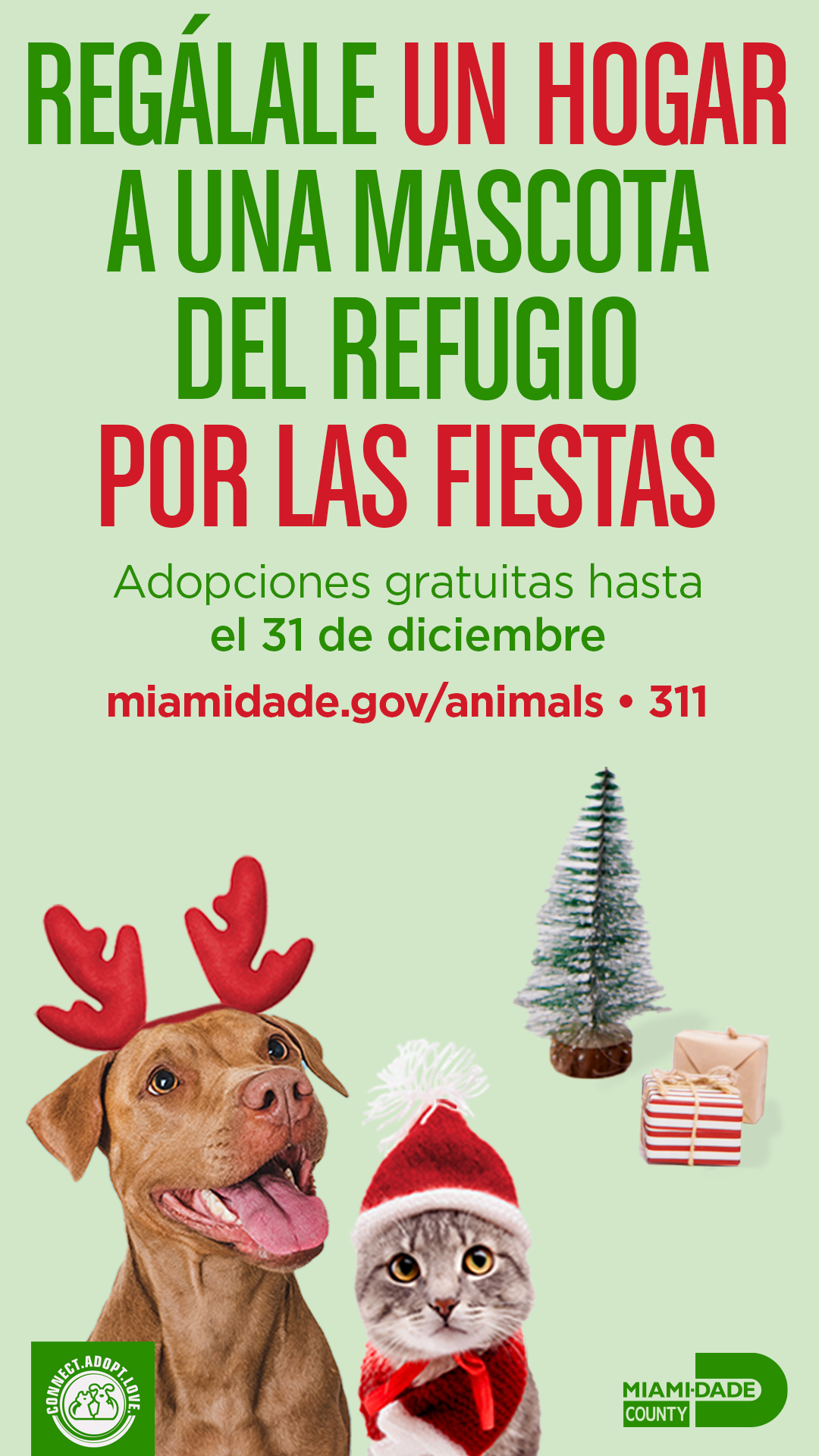 Get the gift of love! Take a shelter pet from @adoptmiamipets Home for the Holidays!