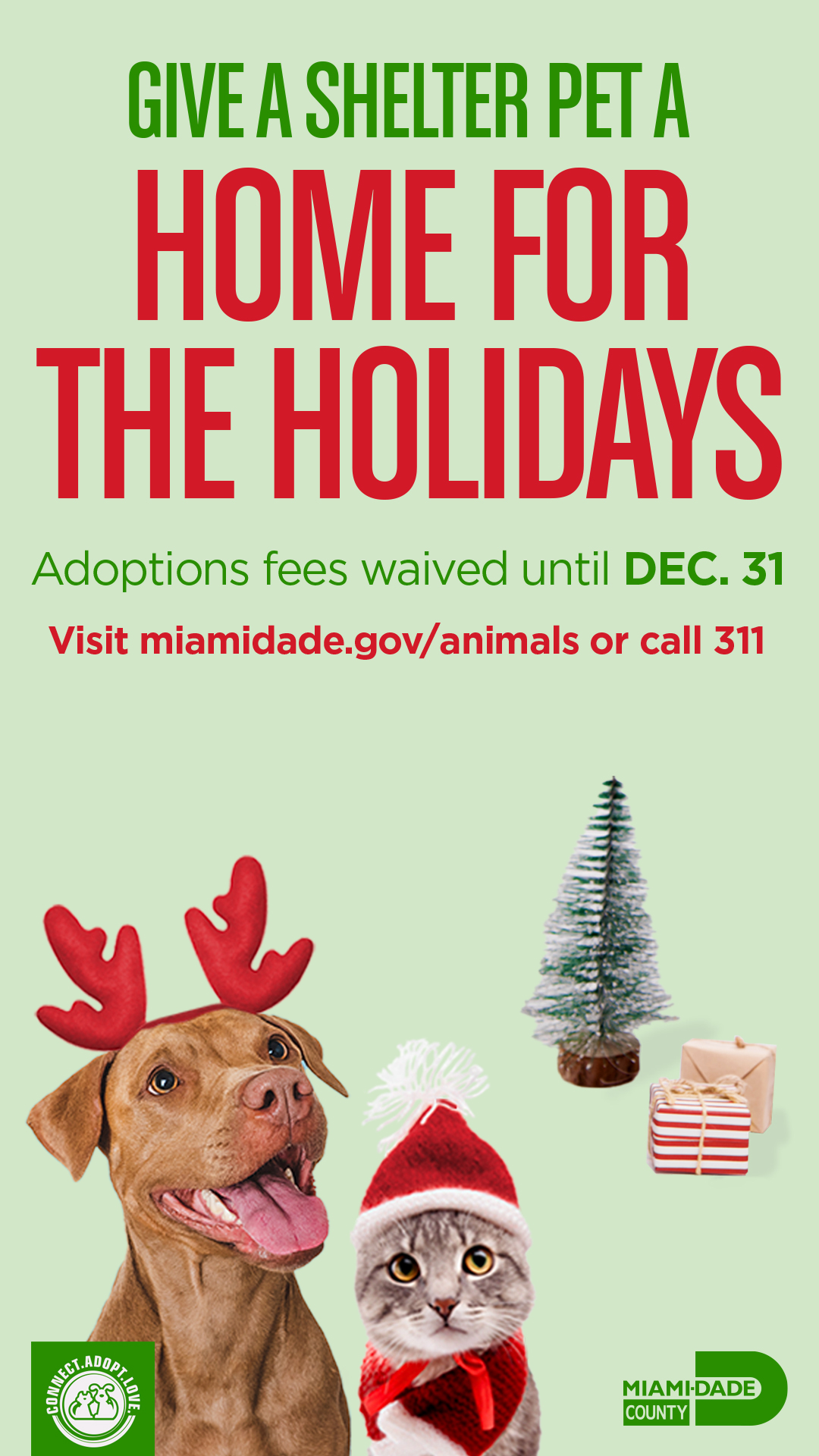 Get the gift of love! Take a shelter pet from @adoptmiamipets Home for the Holidays!