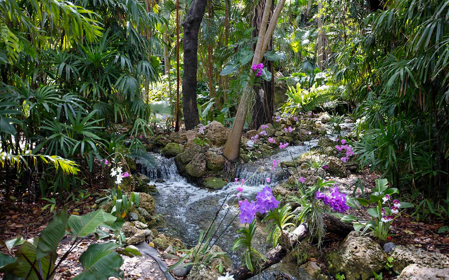 Fairchild Botanical Garden