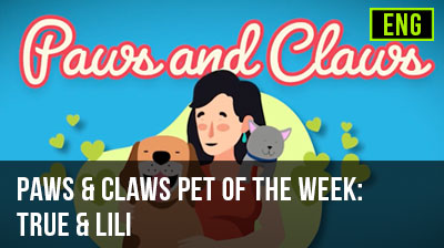 Paws and Claws Pet of the Week: True and Lili