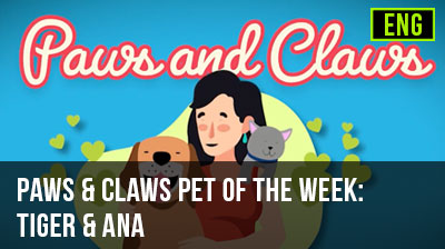 Paws & Claws Pet of the Week: Tiger & Ana