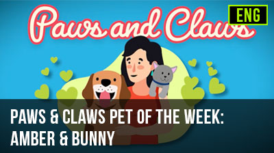 Paws & Claws Pet of the Week: Amber & Bunny