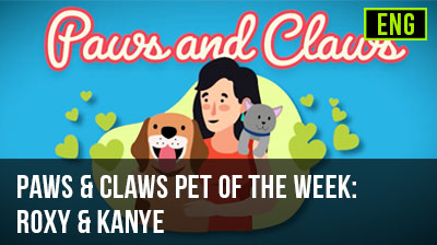 Paws & Claws Pet of the Week: Roxy & Kanye