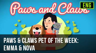 Paws & Claws Pet of the Week: Emma & Nova