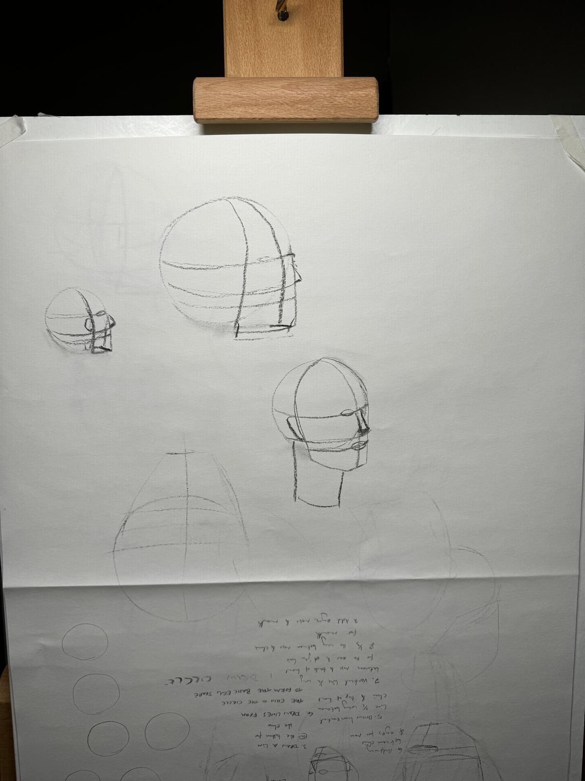 Continue with Asaro Planes of the Head exercise