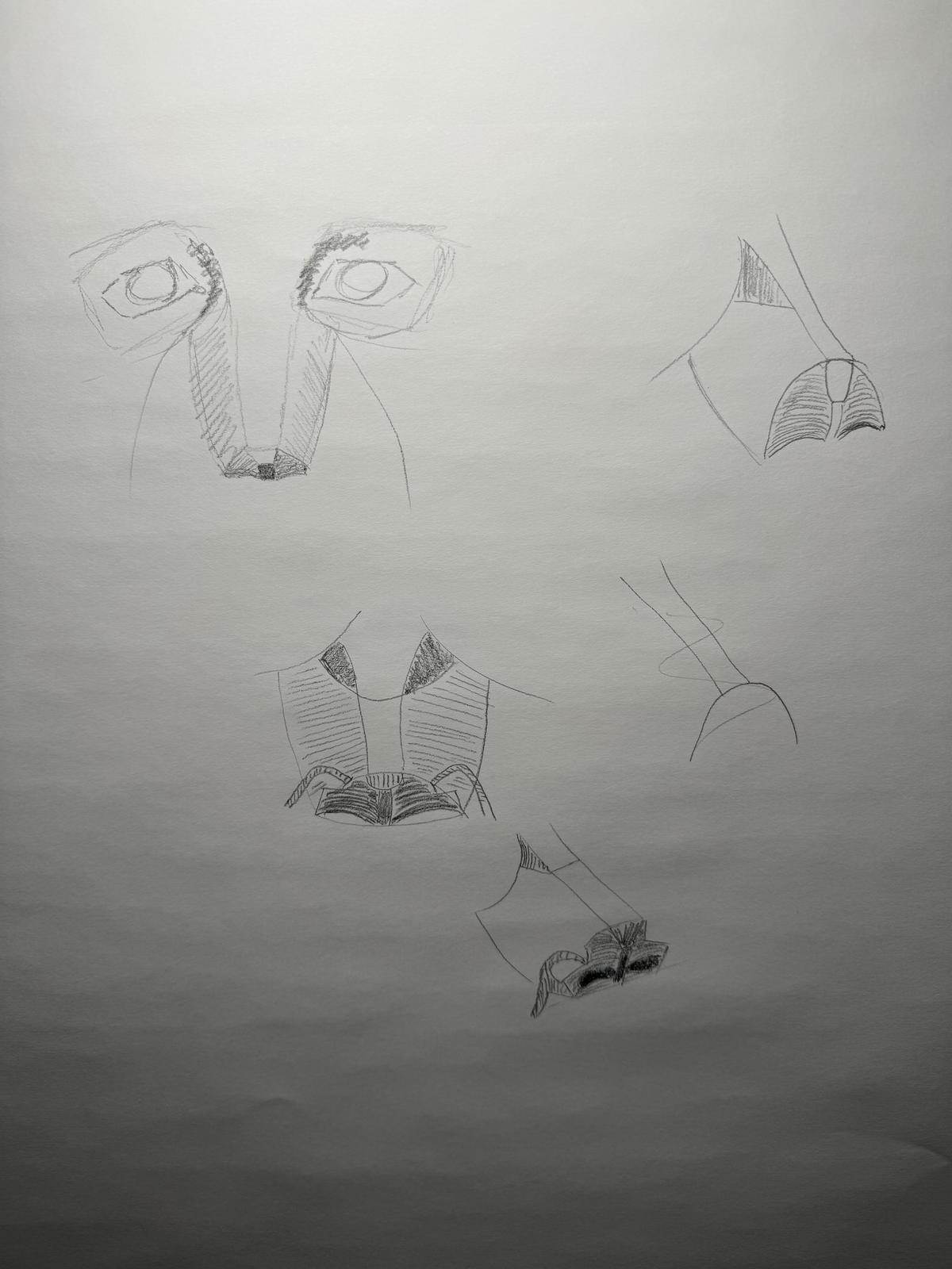 Do some work on the planes of the nose