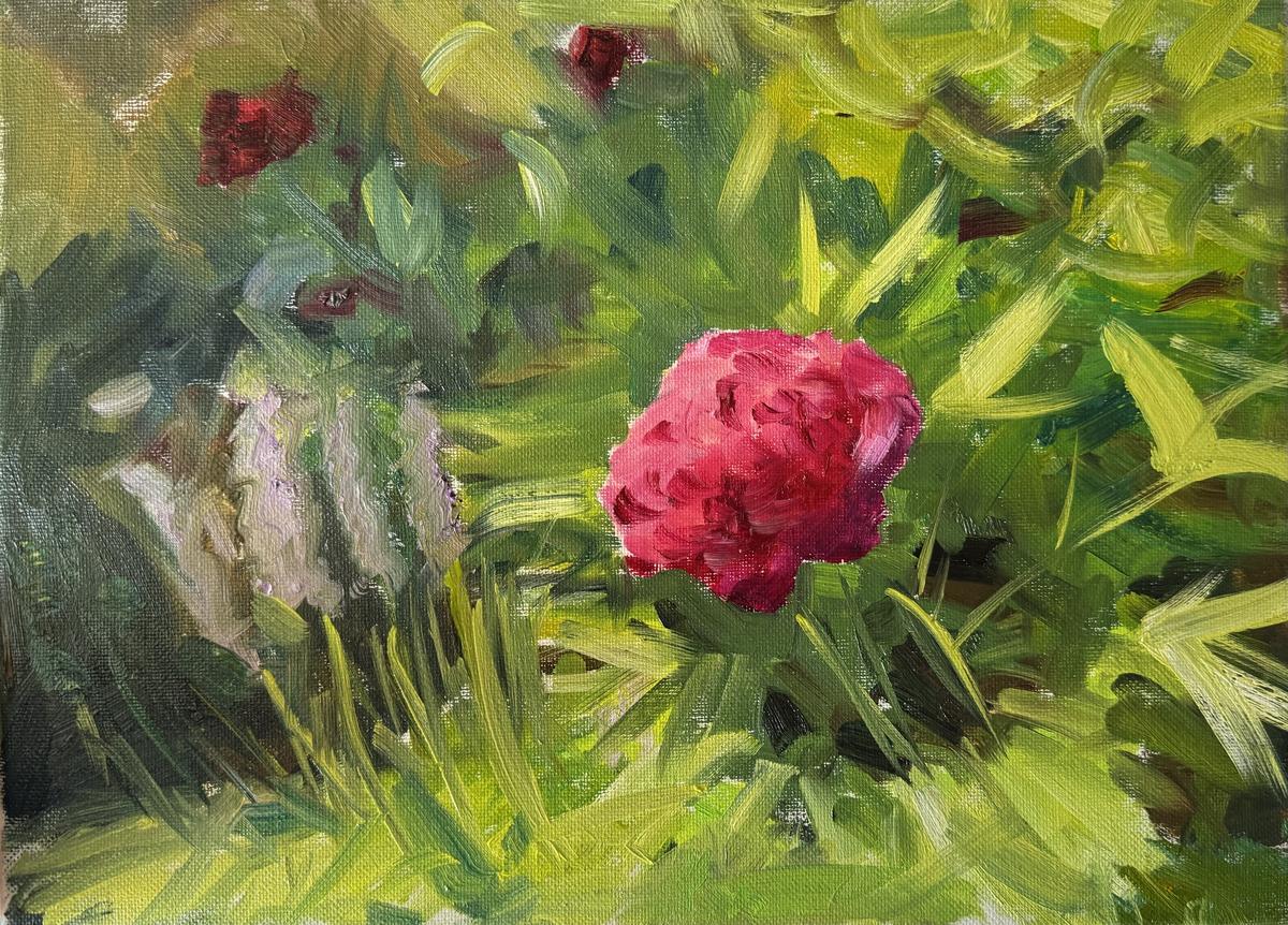 Do painting if a peony in the sun