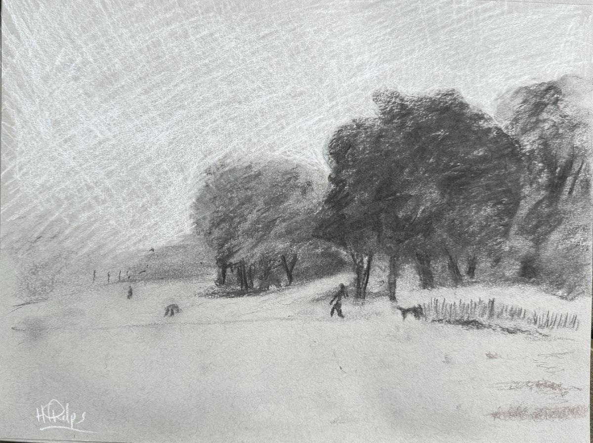 Do landscape sketch in Ripley