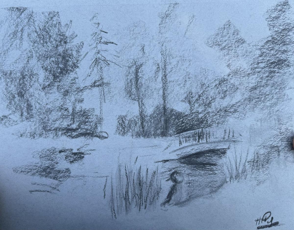 Do landscape sketch in Morden Hall Park