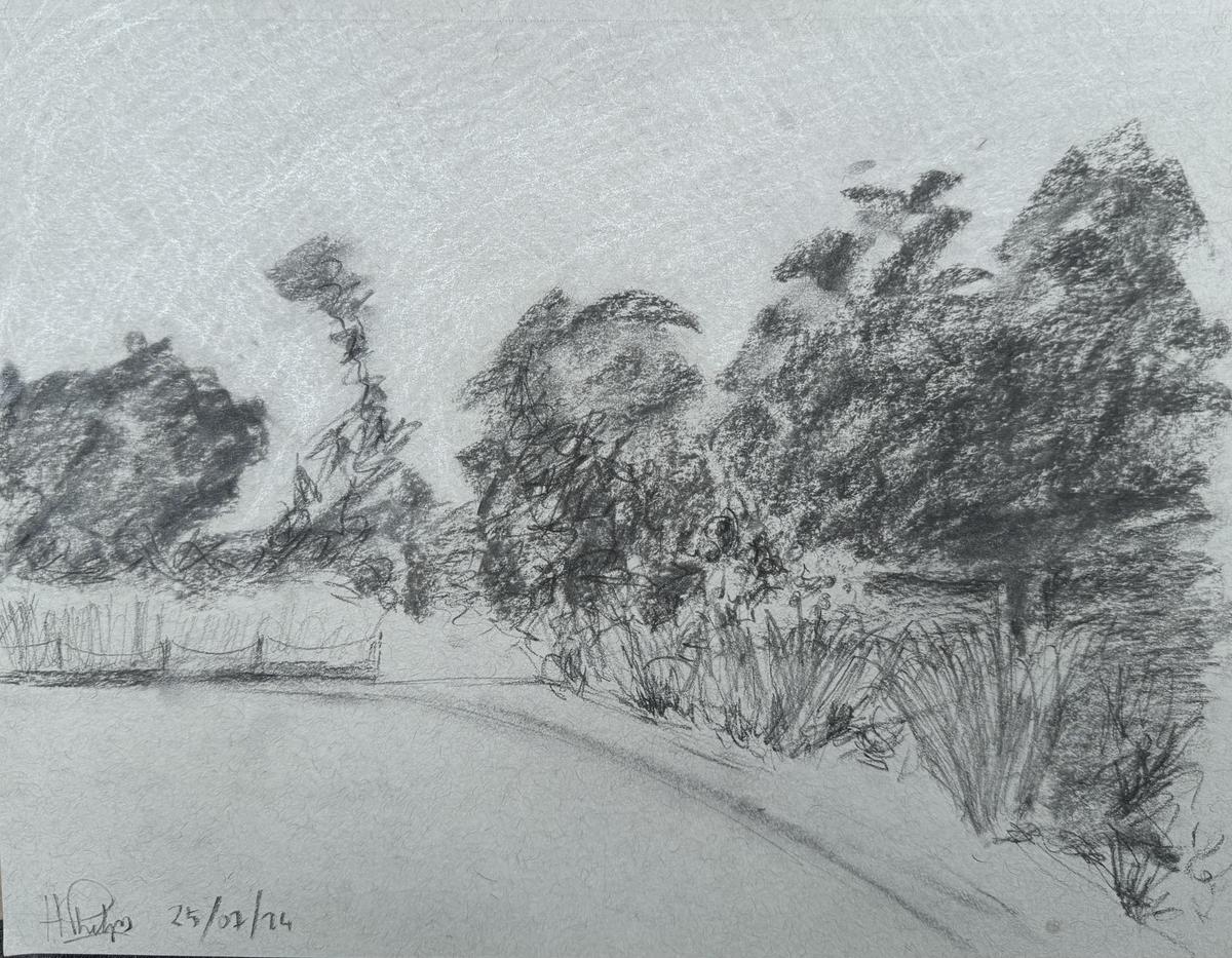 Do landscape sketch in Beckenham Place Park