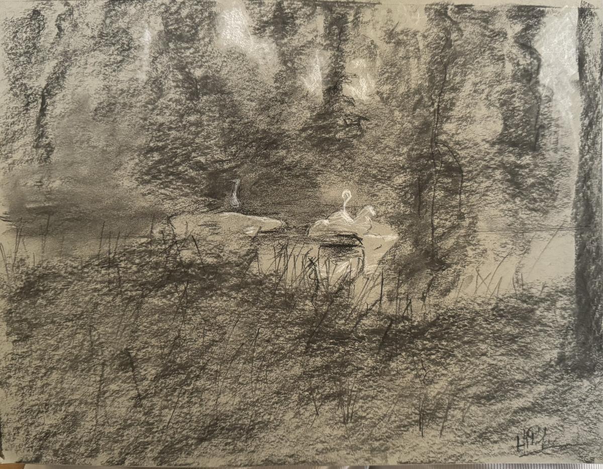 Do landscape sketch in St. James’ Park