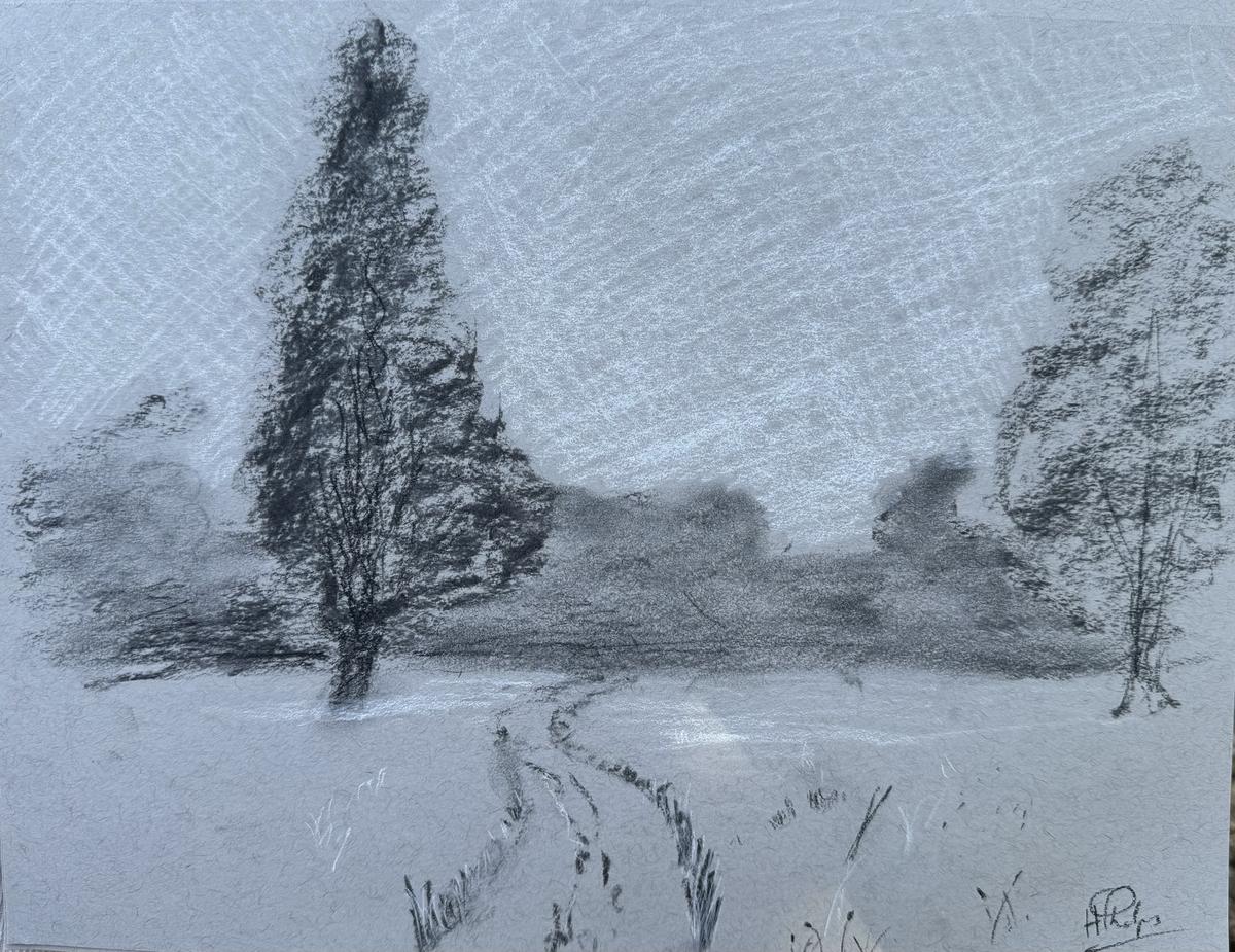 Do landscape sketch in Tooting Common
