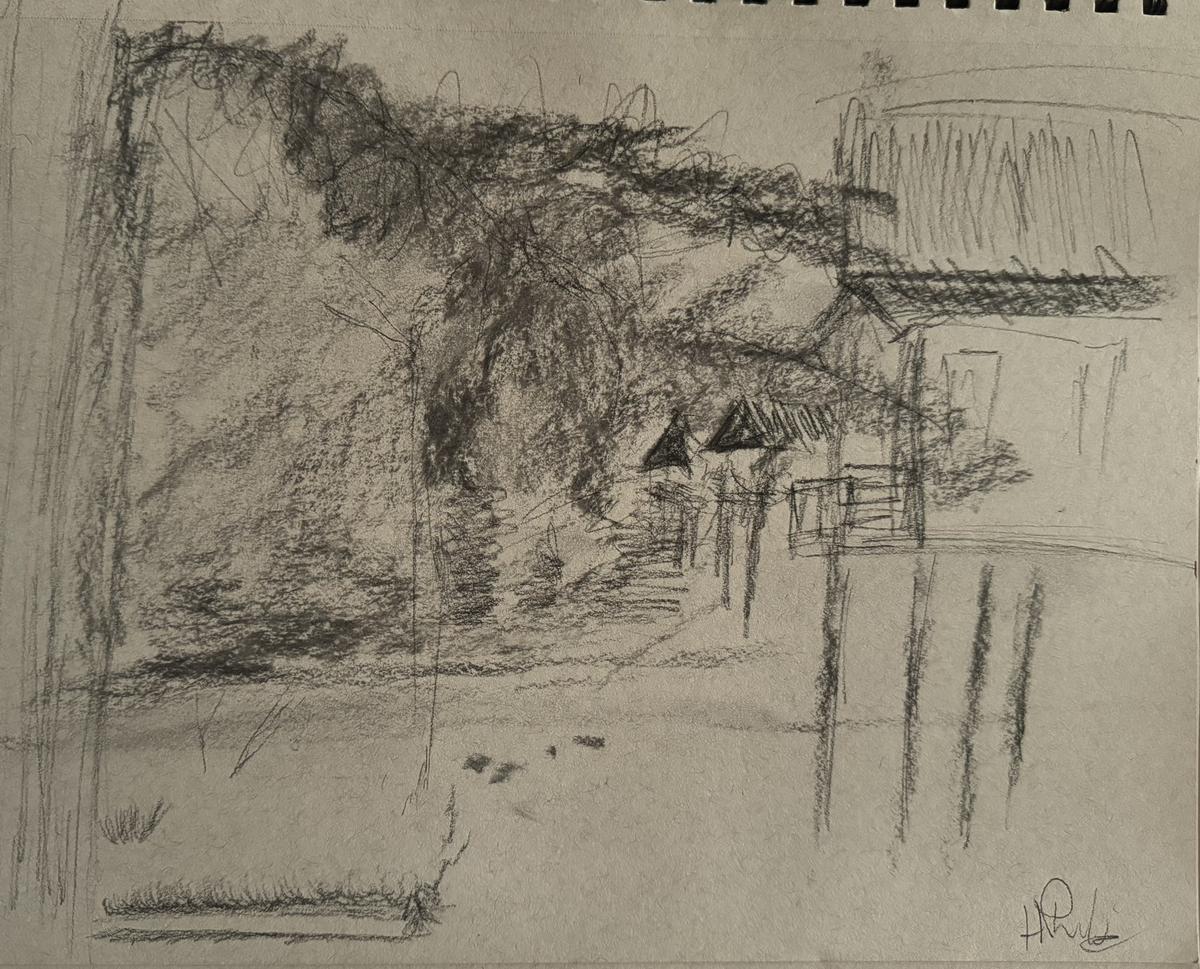 Do a landscape sketch of the lodges in Borneo