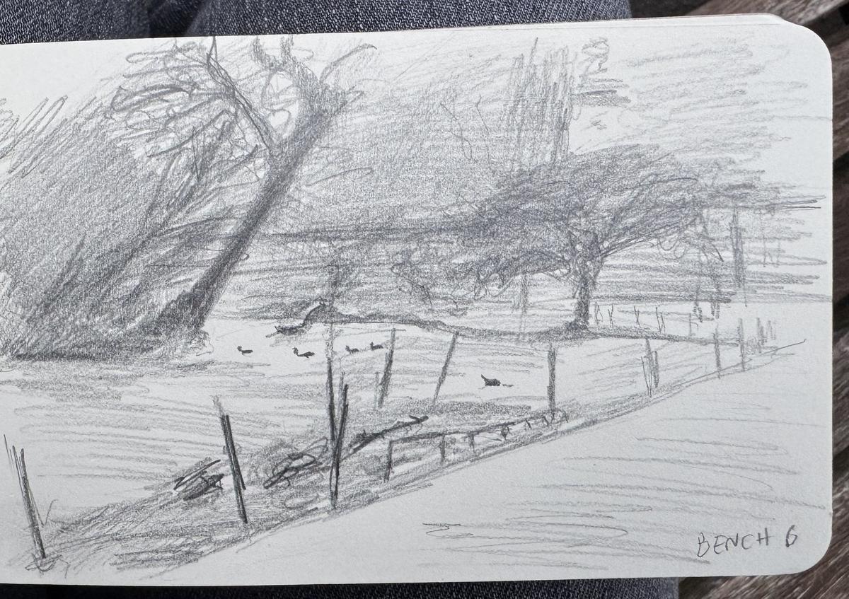 Sketch in St. James’s Park (bench 6)