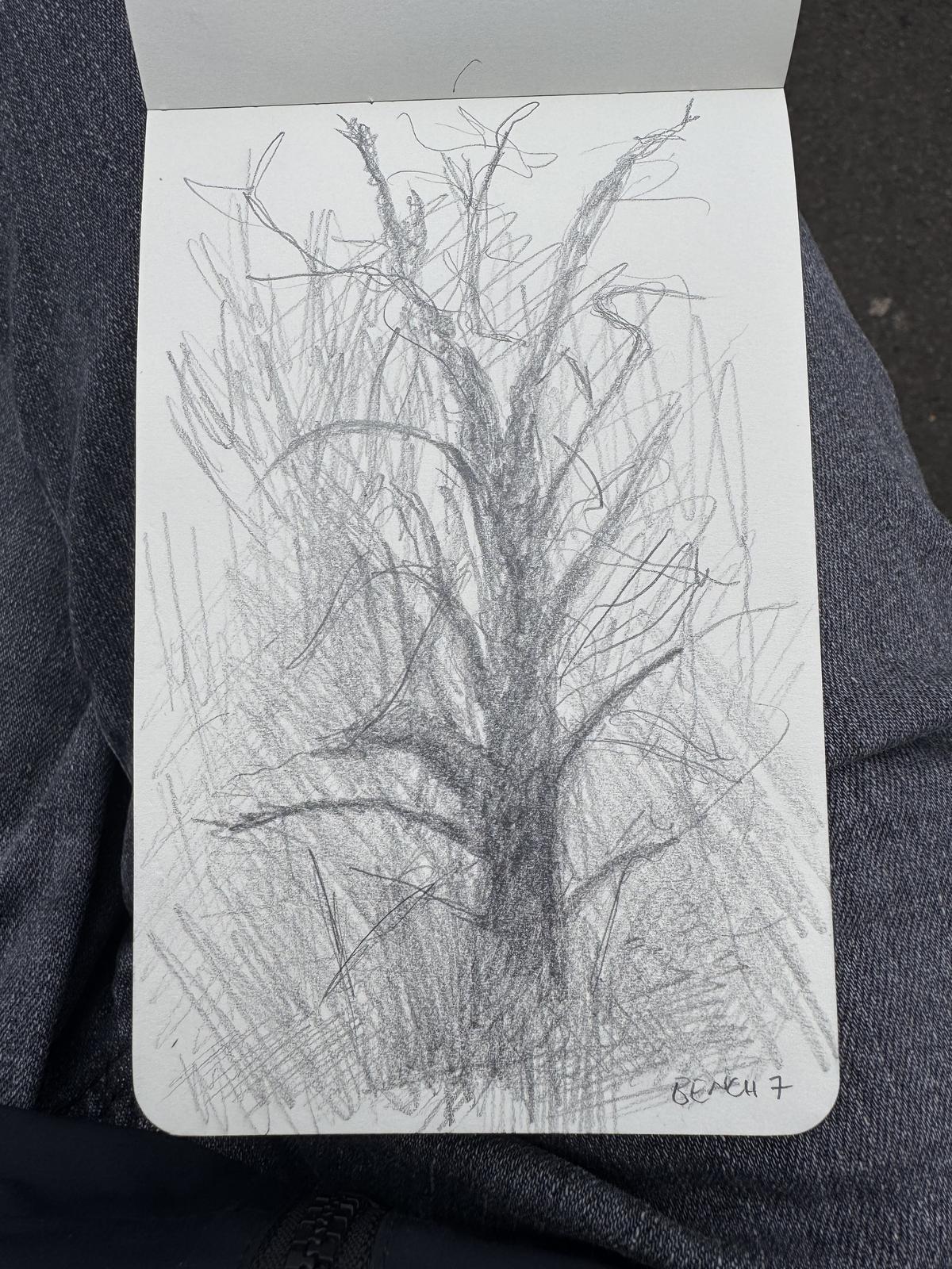 Sketch in St. James’s Park (bench 7)