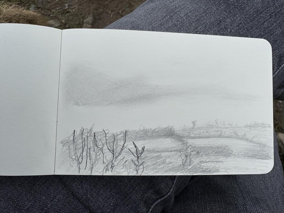 Did a quick misty sketch of Windermere