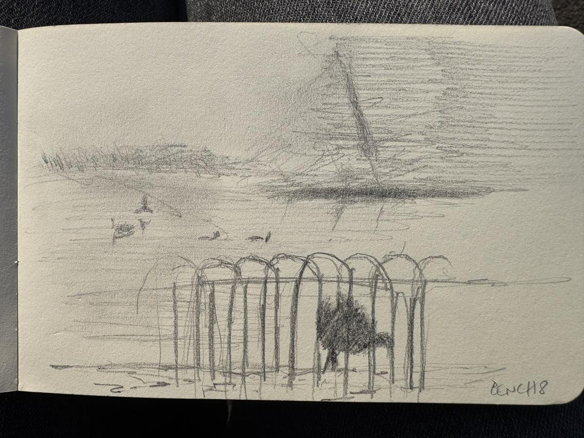 Did quick sketch in St. James’s Park (bench 8)