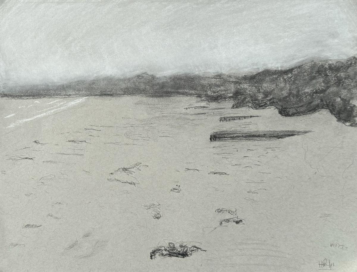 Do a landscape sketch on the beach at Port Fairy