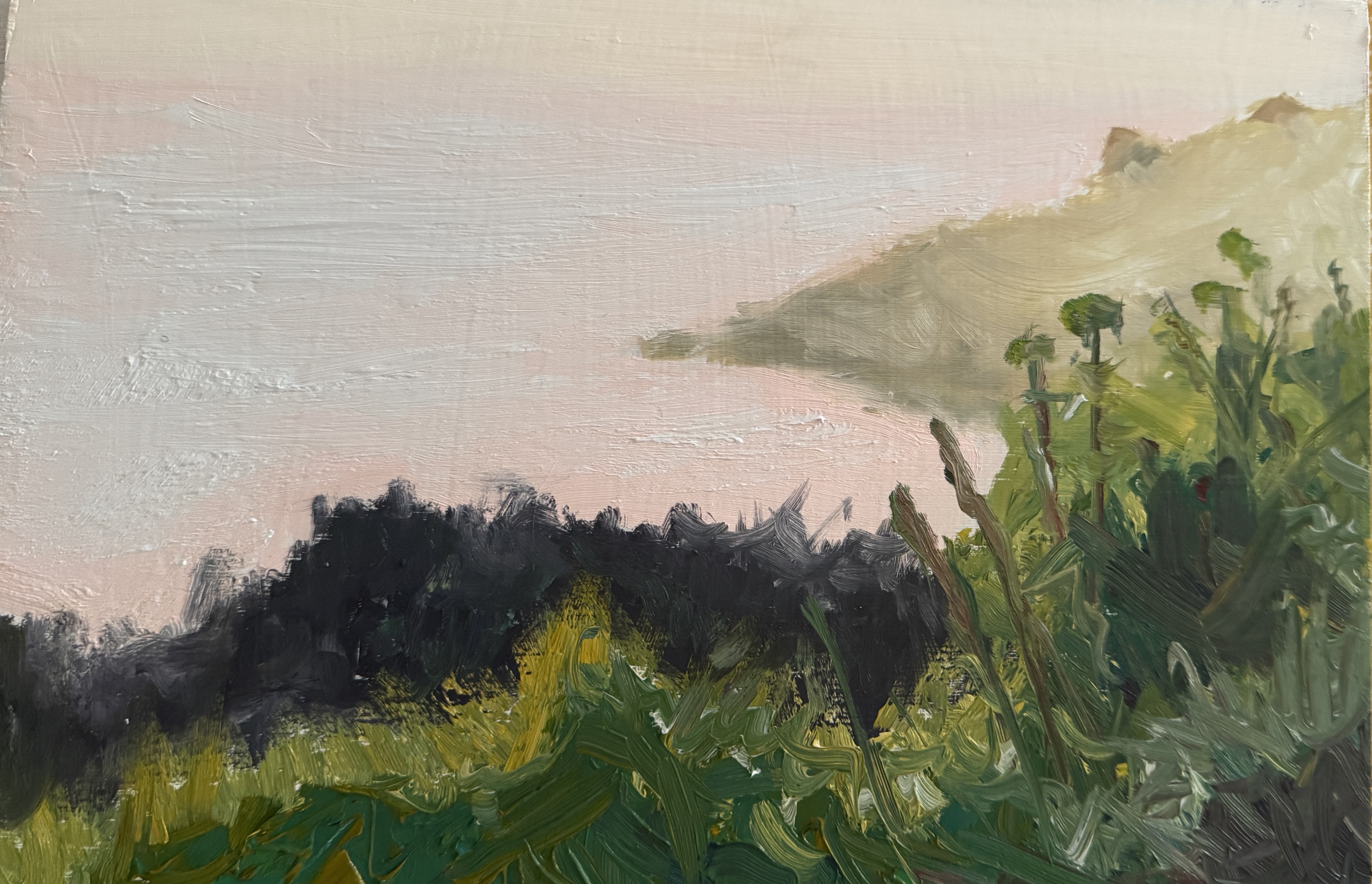 Maenporth plein air study
