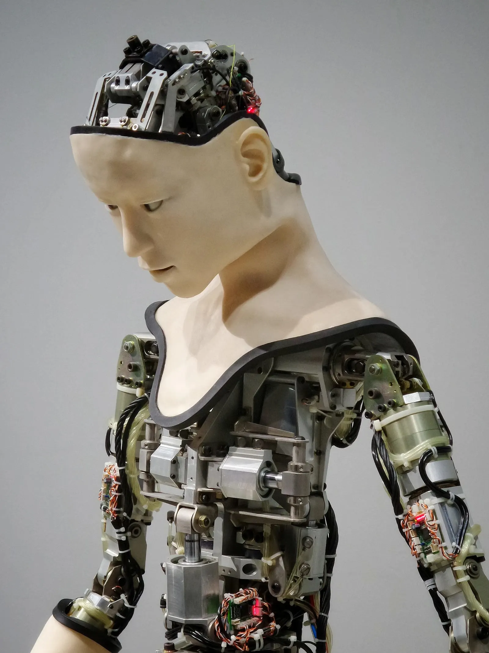 BSc in Machine Learning