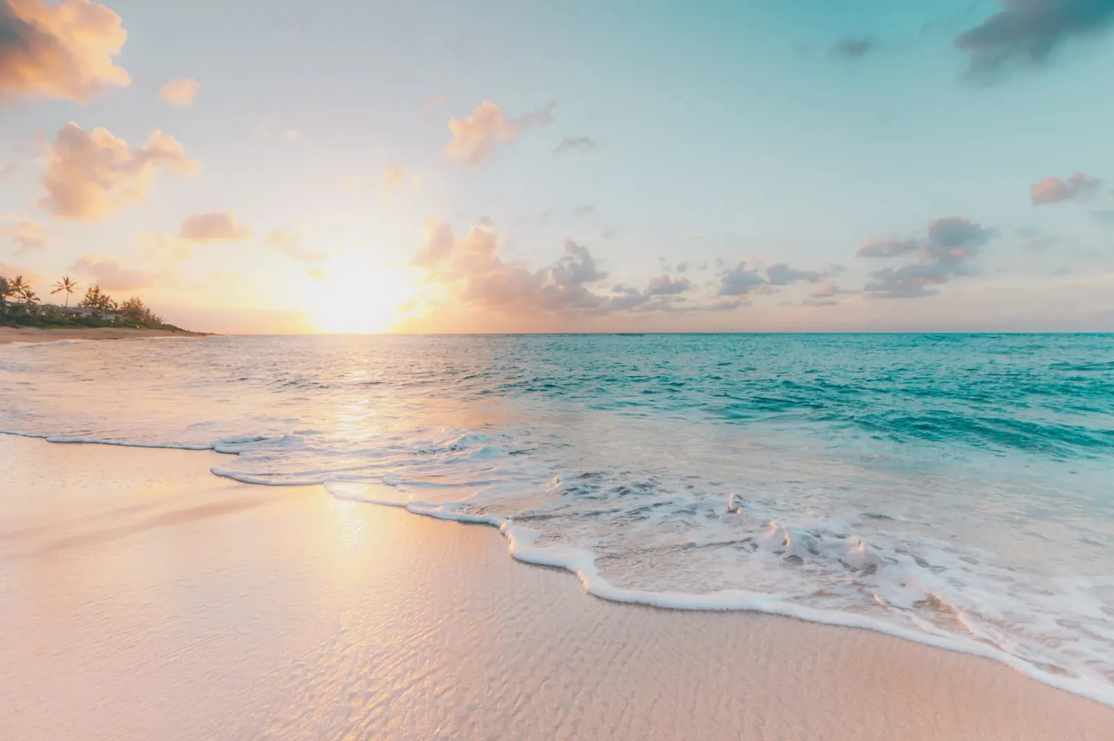 MSc in International Tourism Strategy