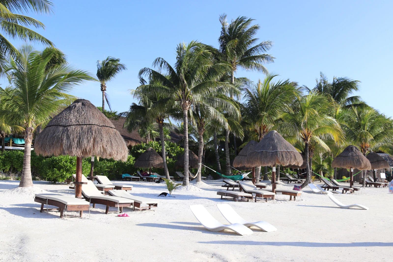 Certificate in Guest Experience Introduction