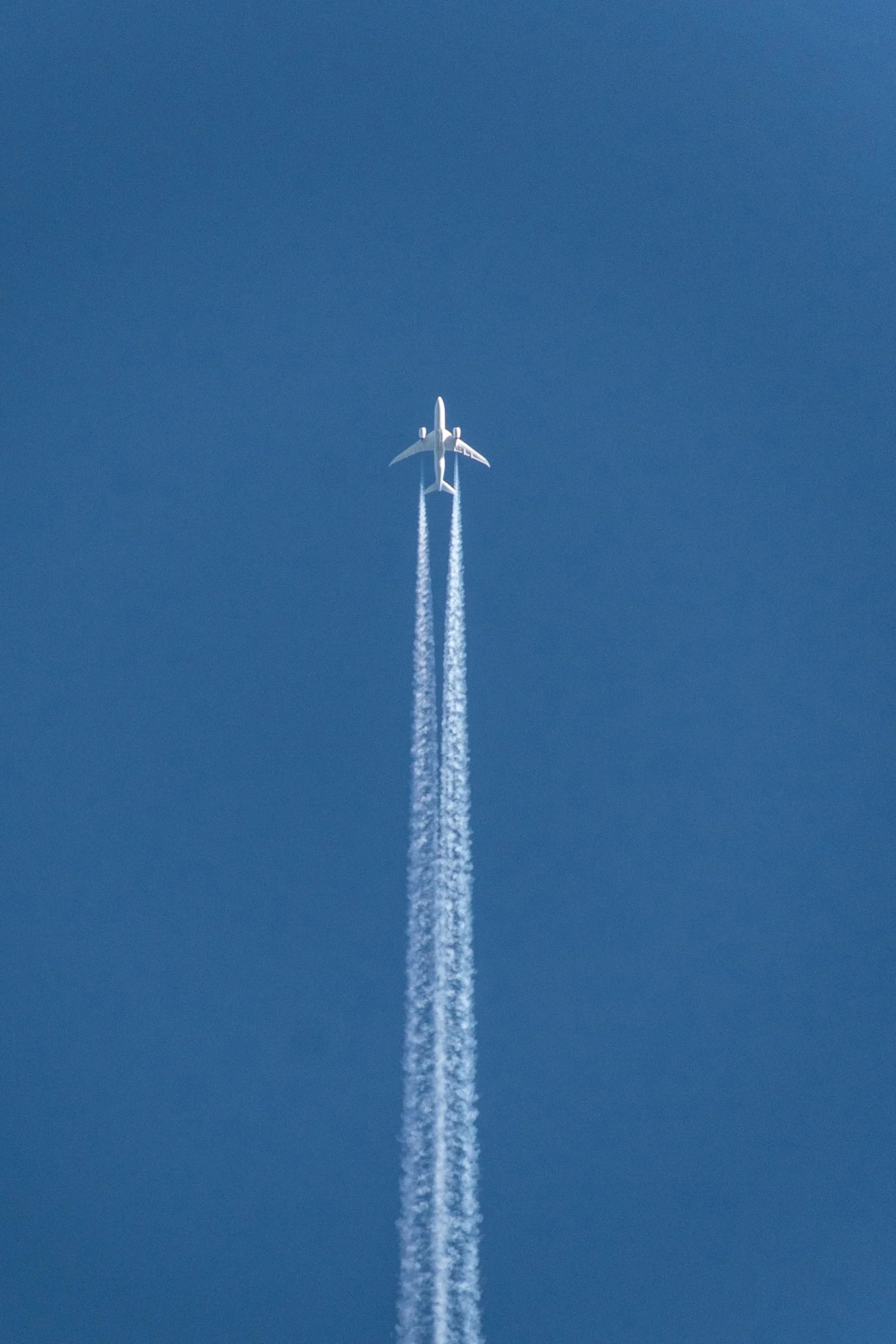 Certificate in Travel Industry Communication