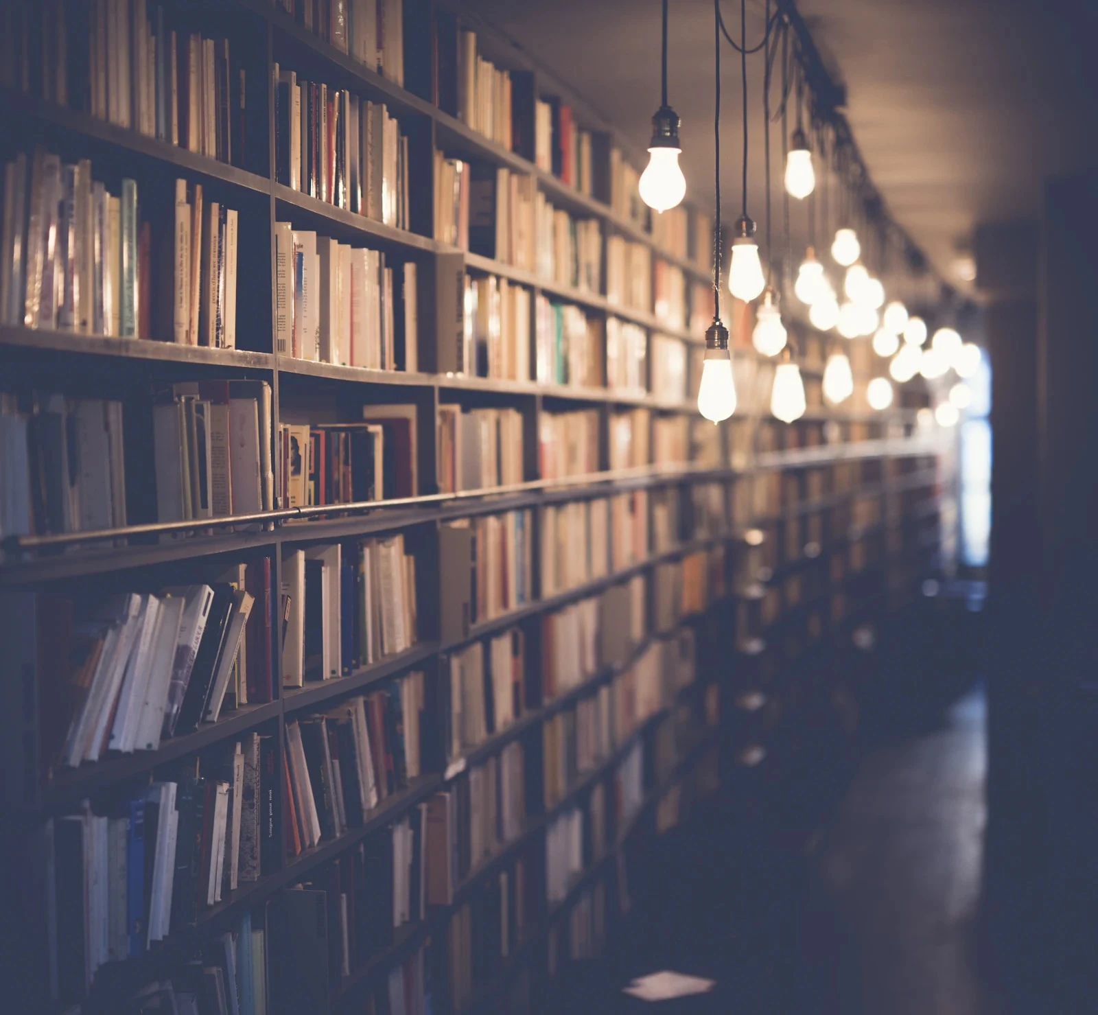 BA Arabic Language Studies