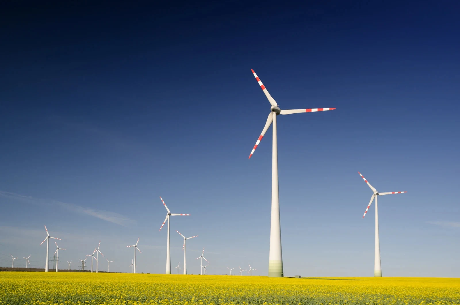 Advanced Diploma in Green Energy Leadership