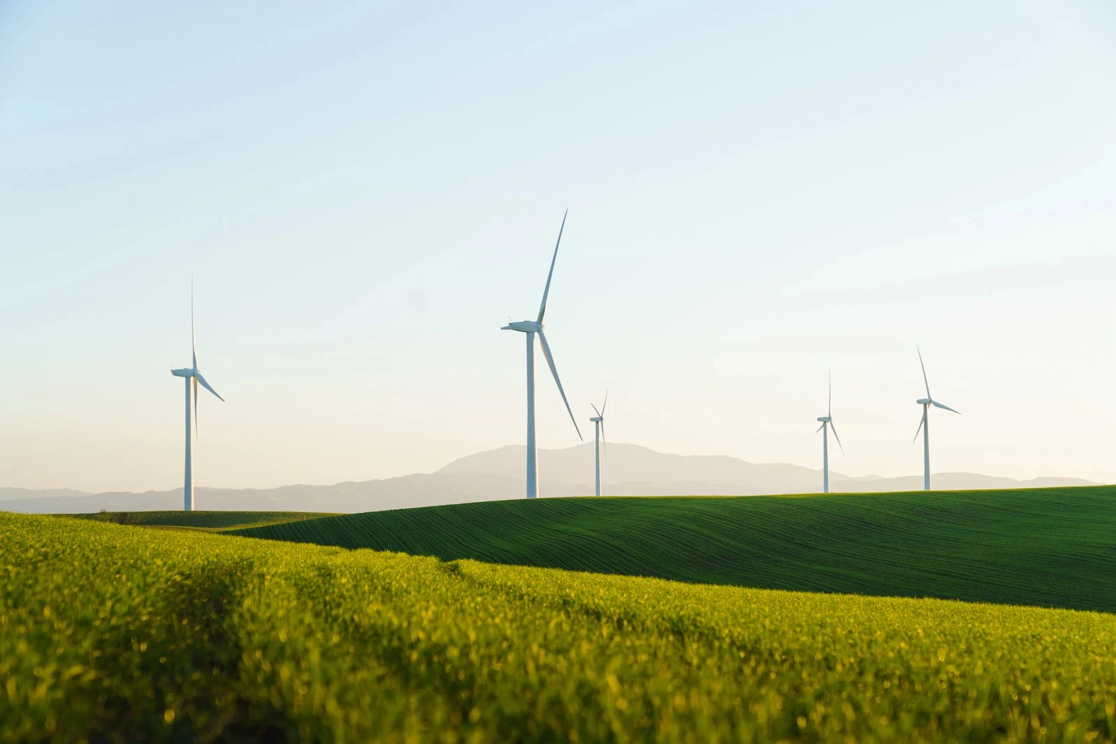 Certificate in Energy Policy Introduction