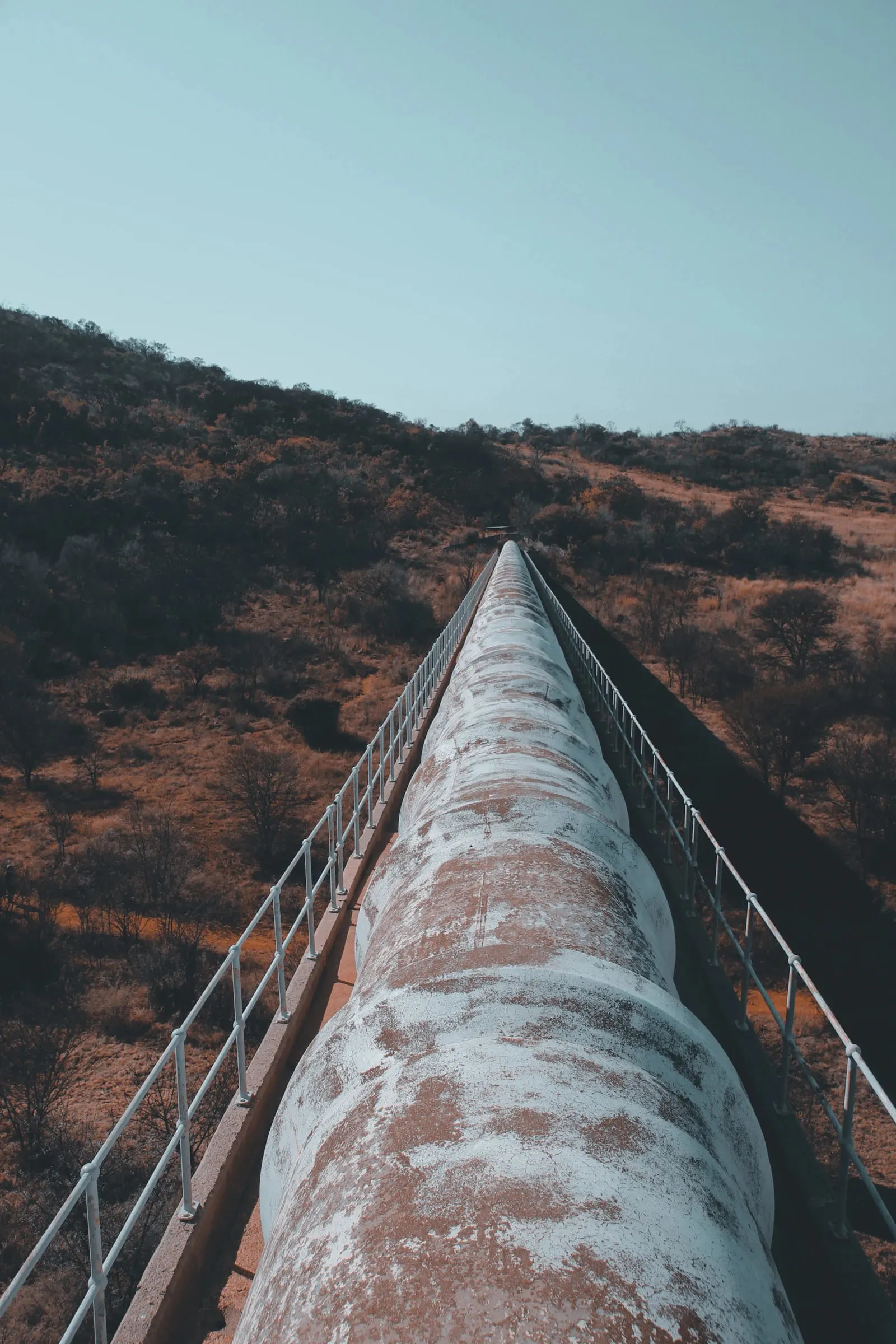 MBA Petroleum and Energy Management